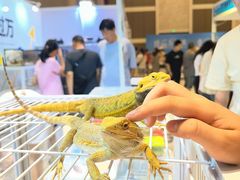 -国际非物质文化遗产博览园