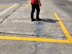 -安飞驰驾校·学车连锁(金高店)