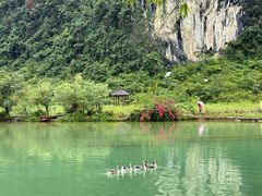 -靖西鹅泉风景区