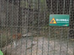 -深圳野生动物园