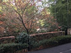 -天目湖涵田半山温泉