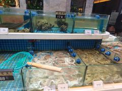-大众海鲜(巨龙北路店)