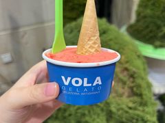 -Vola Gelato意大利手工冰淇淋(朝阳大悦城店)