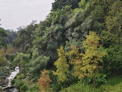 -云溪植物园