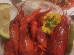 -杨氏青龙虾·羊蝎子(托乐嘉店)