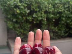 -北京益泉花园酒店