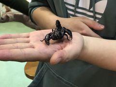 -藦茜花园宠物主题亲子互动体验馆(国顺东路店)