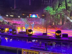 -广州长隆国际大马戏