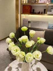 -MIDA蜜哒•科技逆龄美肤连锁