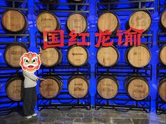 -龙谕酒庄