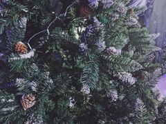 -宁波冰雪大世界(北仑区)