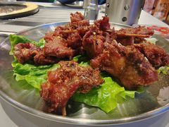 -山野的朋友露营炭火烤肉