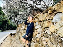 -广州市流溪河国家森林公园