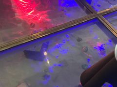 -佐度王子扒房(天鹅湖店)