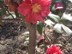 -苏州河梦清园环保主题公园