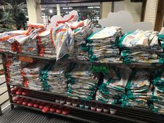 -南宫温泉水世界