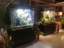 -造物庄园 萌宠纪(苏州湾歌林公园店)