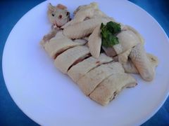 -千岛蚝高压锅生蚝·人参火锅(白云万达店)