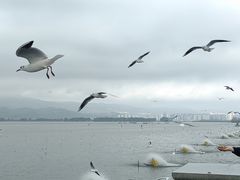 -海埂大坝