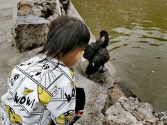 -森林公园(尖草坪区)