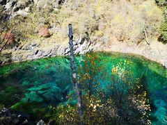 -叠溪松坪沟景区