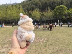 -达蓬山星梦乐园