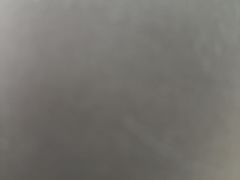 -唐小姐の私宠·宠物洗护美容·撸猫馆·购宠(周浦万达旗舰店)