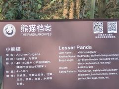-都江堰中华大熊猫苑