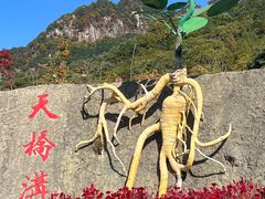 -丹东天桥沟景区