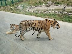 -西安秦岭野生动物园