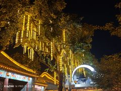 -荣国府