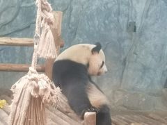 -深圳野生动物园