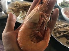 -东山码头