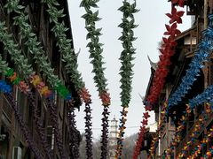 -通宵蹄花(杨柳河街店)