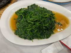 -农家大院