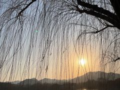 -西湖游船