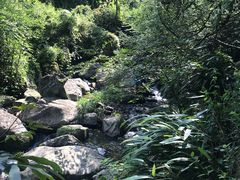 -藏龙百瀑风景区