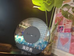 点击看大图 -玛莲朵·海菲秀冰珀科