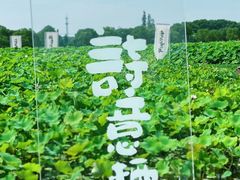 -嘉北郊野公园