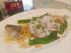 葱油碧绿鲈鱼-山泉公馆酒家(珠江新城店)