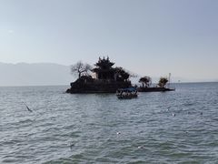-小普陀