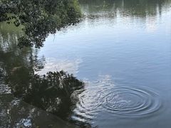 -建水文庙