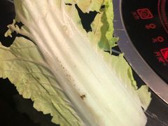 -狼爱上羊音乐火锅