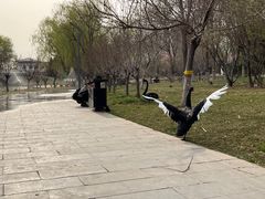 -河北省园博园