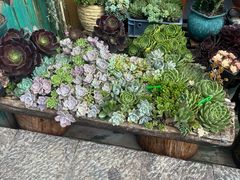-老姐石板烧烤+铜炭火锅(总店)