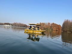 -上海海湾国家森林公园