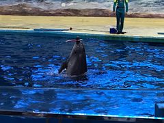 -福州罗源湾海洋世界旅游区