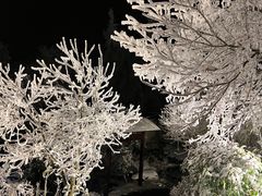 -江南天池高山汤泉城