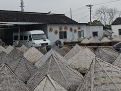 -苏州市吴中区光福窑上花果蜜饯厂