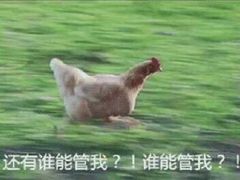 -杨氏青龙虾·羊蝎子(托乐嘉店)